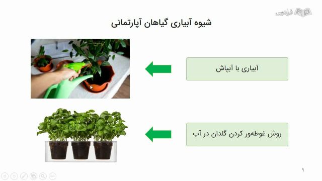 راهکارهای مراقبت و نگهداری از گیاهان آپارتمانی