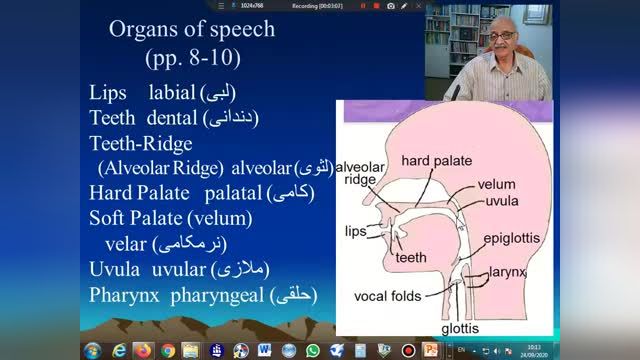 درس آواشناسی زبان انگلیسی (4) - اندام های گفتاری