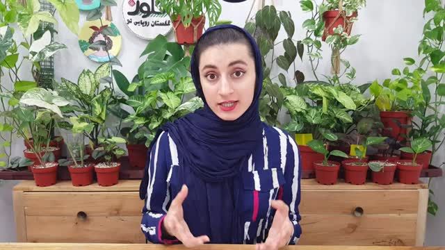 تفاوت هیومیک اسید و آمینو اسید برای گیاهان | کود گیاهی