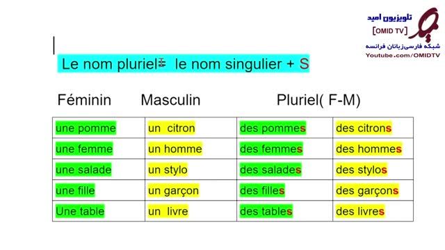 آموزش زبان فرانسه از صفر - درس 11 - تبدیل اسم مفرد به اسم جمع در فرانسه