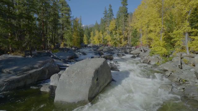 رودخانه جاری با کیفیت 4K | صحنه هایی از طبیعت با صدای رودخانه - تریلر