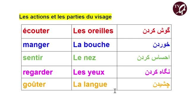 اسامی اعضای بدن به زبان فرانسه | درس 24