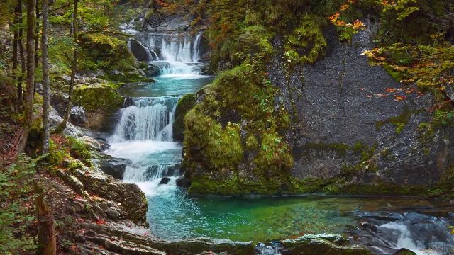 8 ساعت آبشار جنگلی زیبا | صداهای آرامش بخش طبیعت برای تسکین استرس