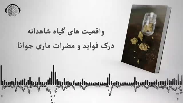 همه چیز در مورد گیاه شاهدانه | فواید و مضرات ماری جوانا