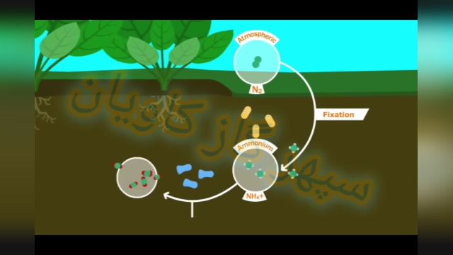 چرخه نیتروژن | گاز نیتروژن | N2-سپهر گاز کاویان