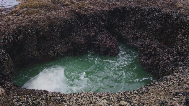 صخره ها - ویدئوی آرام از حرکت موج ها با کیفیت 4k - ساحل اورگان