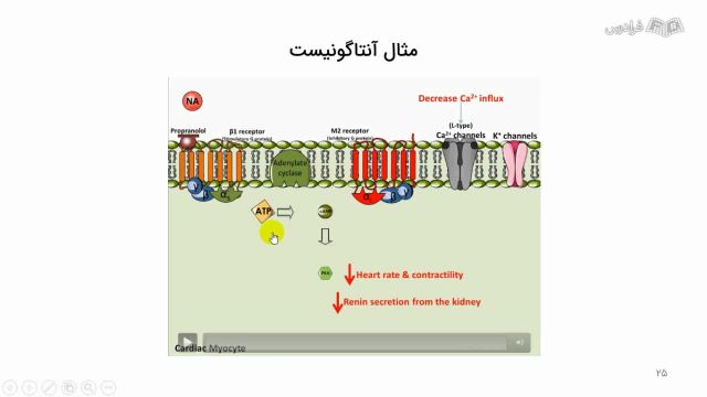 آموزش داروهای موثر بر سیستم عصبی مرکزی (نوروفارمولوژی) | بخش اول