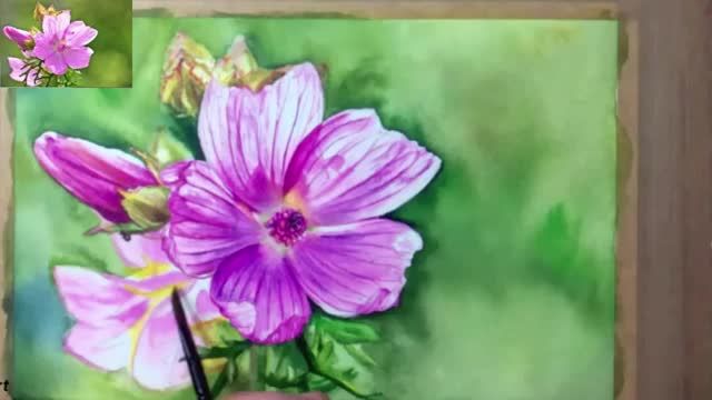 نقاشی آسان با آبرنگ برای مبتدیان |  نقاشی گل