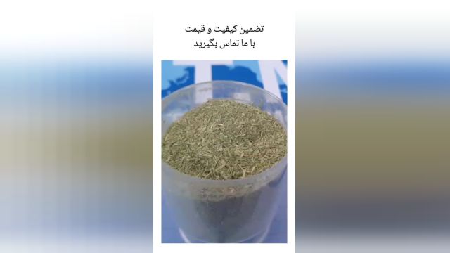 پودریونجه فروش پودریونجه