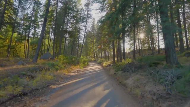 ویدیو منظره با موسیقی آرامش بخش 4K | تریلر جاده پاییزی