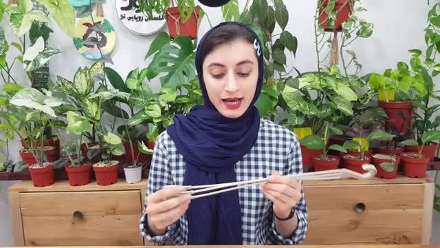 معرفی 5 ابزار باغبانی برای نگهداری گل و گیاه | پارت سوم