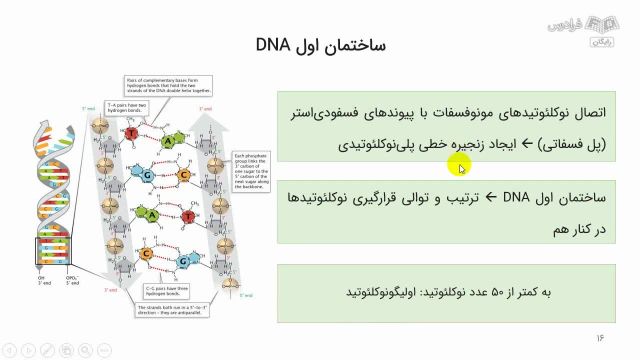 آموزش ژنتیک مولکولی: ساختار DNA (مرور و حل تست)