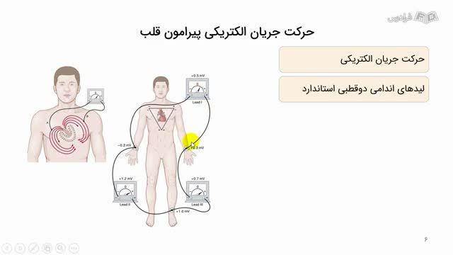 تفسیر نوار قلب به زبان ساده | نمودار شدن کارکرد قلب