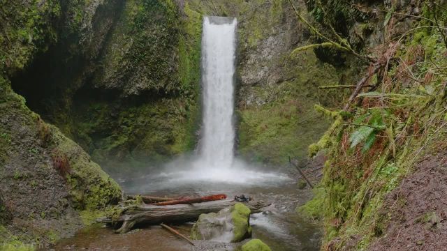 صدای آرامش بخش آواز پرندگان همراه با صدای آب | مناظر شگفت انگیز آبشار