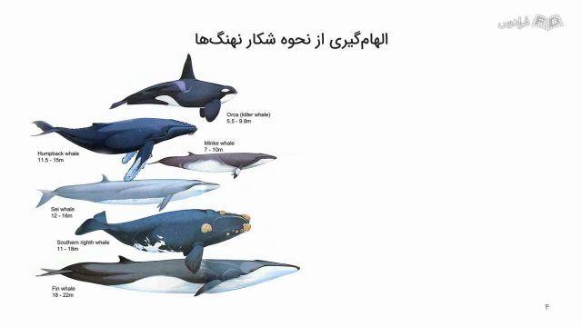 آموزش پیاده سازی الگوریتم بهینه‌ سازی نهنگ (WOA) در پایتون