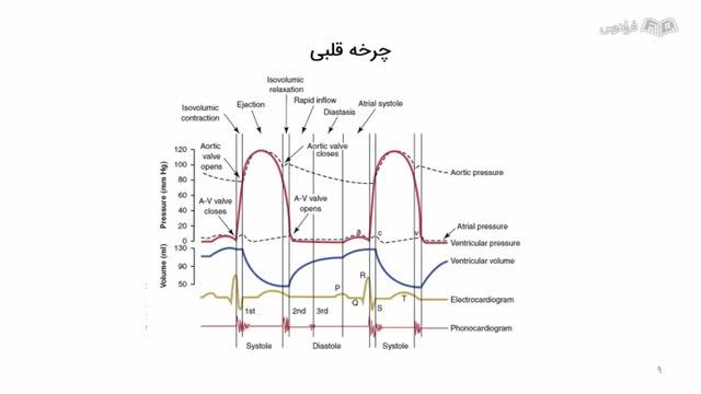 آموزش فیزیولوژی پیرا پزشکی (رایگان)