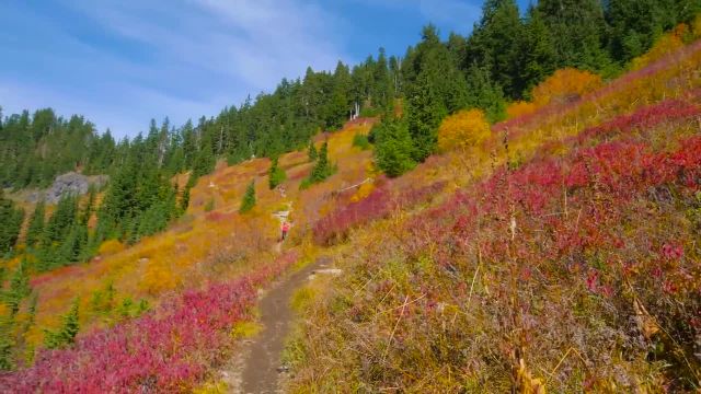 فیلم مستند طبیعت Beautiful Washington | منظره طبیعت پاییزی | اپیزود 5