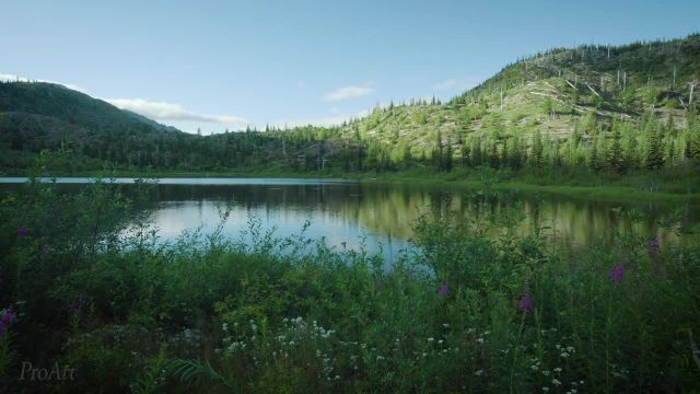 منظره دریاچه با صداهای طبیعت 4K | تریلر