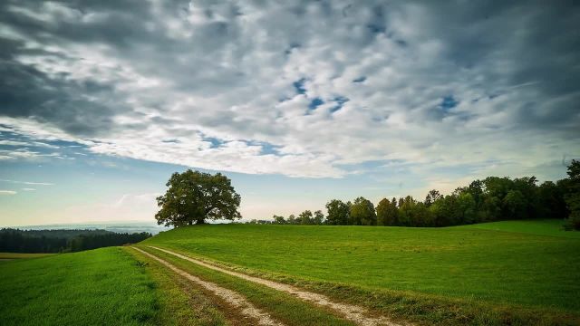 مناظر زیبایی از ابرها و درختان و سبزه | استوک فوتیج رایگان | رنگ های طبیعت