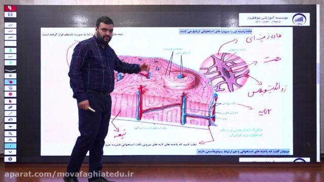 زیست یازدهم         |       استاد هادی محسنیان        |          آموزشگاه موفقیت