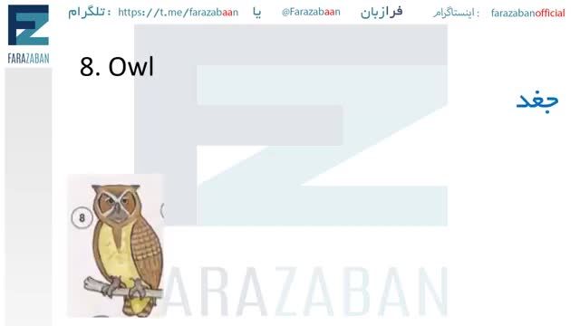 اموزش اسامی پرندگان و حشرات مختلف به انگلیسی با تلفظ صحیح