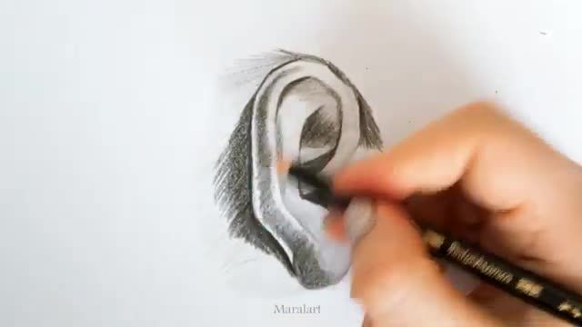 آموزش نقاشی سیاه قلم | آموزش طراحی و سایه زدن گوش با مداد