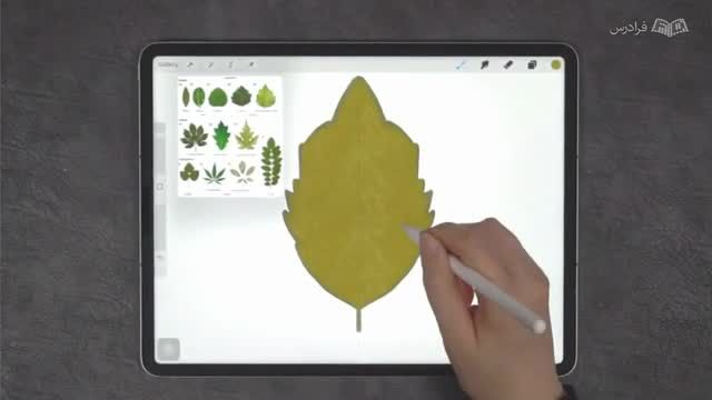 آموزش نقاشی دیجیتال با برنامه پروکرییت - نقاشی برگ طبیعی از روی مدل