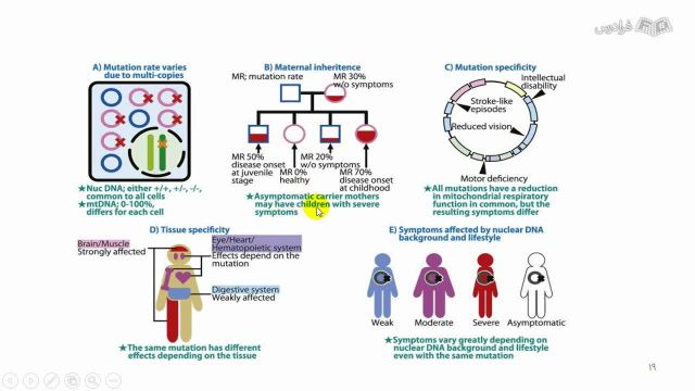 آموزش ژنتیک مولکولی انسان - پروژه ژنوم انسانی
