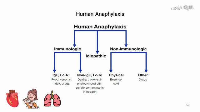 آموزش رویکرد تشخیصی - درمانی به آنافیلاکسی (Anaphylaxis) در بخش اورژانس