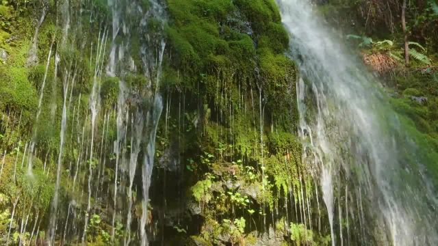 8 ساعت موسیقی ملایم از سقوط آب و آواز پرندگان | زیبایی آبشارهای اورگان