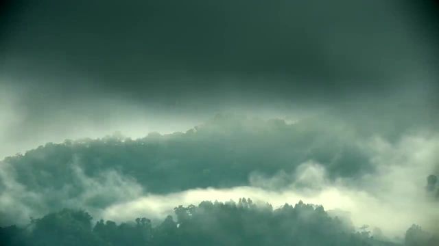 نمای هوایی پهپاد از زیبای های طبیعت | استوک فوتیج رایگان
