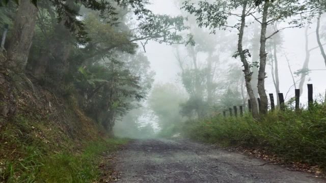 استوک فوتیج هوای مه آلود | هوای زمستانی | ویدیو HD رایگان