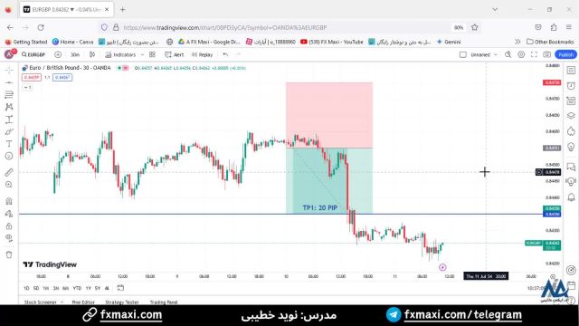 سیگنال یورو به پوند با 20 پیپ سود - سیگنال VIP فارکس | ویدئو شماره 430