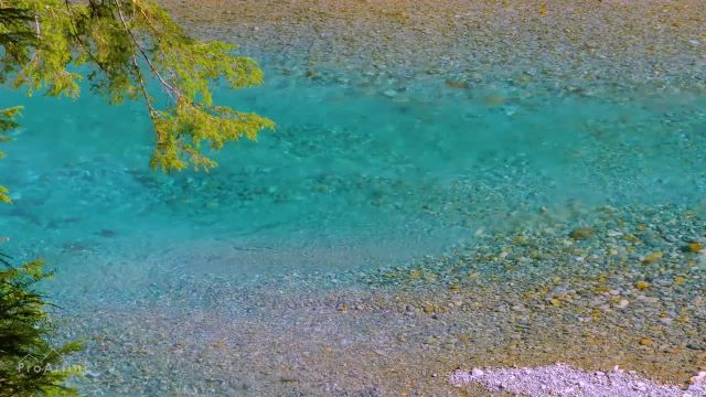 ویدیوی ماهی قزل آلا در رودخانه شفاف | صدای رودخانه برای آرامش و خواب