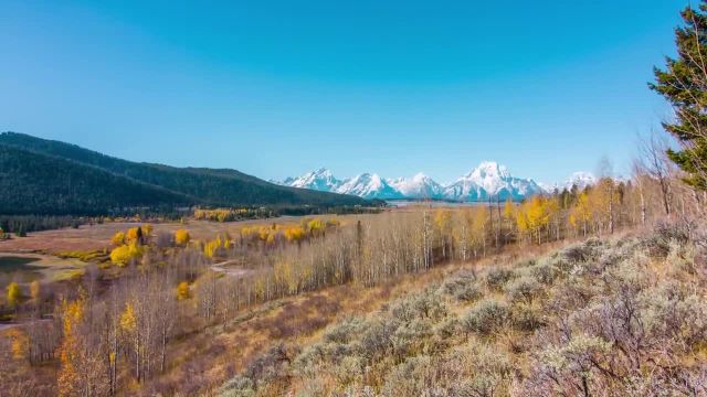 مناظر زیبای پاییزی و موسیقی آرامش بخش 4K (Ultra HD) | پارک ملی گرند تیتون (تریلر 52)