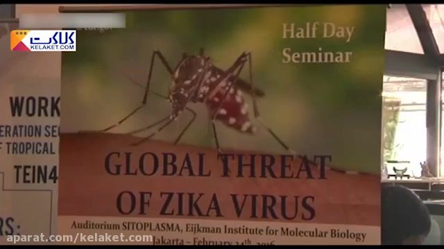 ویروس زیکا, حشره ای که انسان را می کشد  به آسیا رسید‬