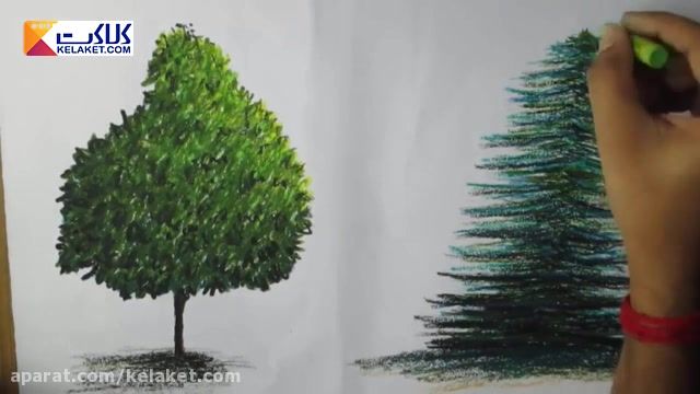 خودآموز نقاشی_درخت