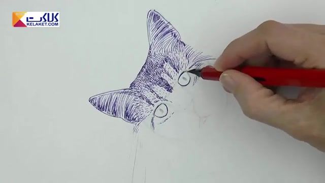 آموزش نقاشی با خودکار: کشیدن گربه 