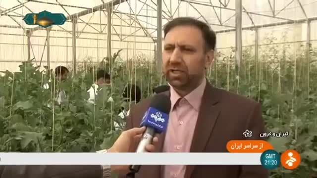 Iran Modern greenhouses, Tiran & Karvan county گلخانه پیشرفته شهرستان تیران و کاروان ایران