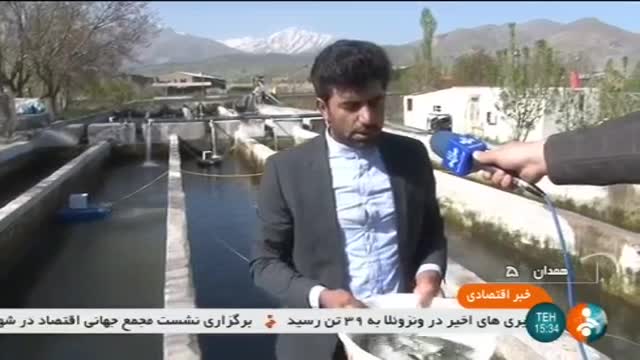 Iran Trout fish farming, Hamadan province پرورش ماهی قزل آلا استان همدان ایران