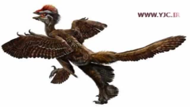 کشف بقایای اسکلت دایناسور‌های پردار در مازندران