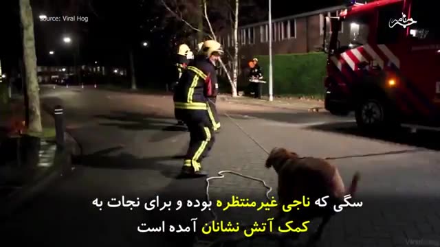 ‫سگی که کمک دست آتش نشانان شده است‬‎