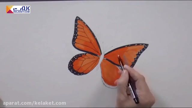 آموزش نقاشی با ماژیک و مداد رنگی؛ کشیدن پروانه
