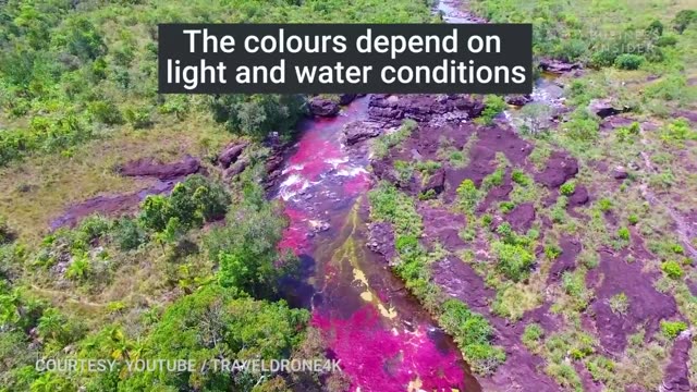 رودخانه بسیار زیبا «کانو کریستالس» یا رنگین کمان در کلمبیا