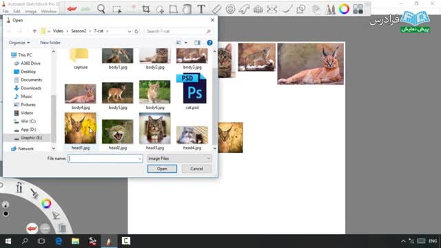 ‫نرم افزار SketchBook Pro برای طراحی آناتومی حیوانات-درس 2: ترسیم حیوانات- بخش 17:گربه (الف)‬‎