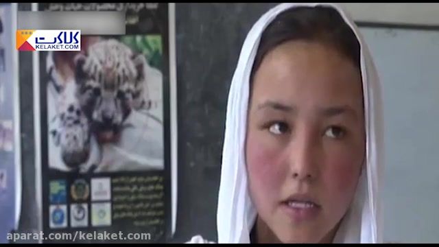 خطر انقراض پلنگ برفی دلیل حفاظت از حیات وحش افغانستان شد!!!
