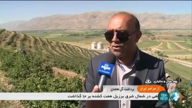 Iran Rose Water production, Chahahrmahal & Bakhtyari province تولید گلاب چهارمحال و بختیاری ایران