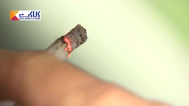 آمار عجیب و تلخ کشتار استعمال سیگار در دنیا...