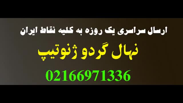 خرید درخت گردوی چندلر پاکوتاه  / 09350798050