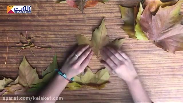 ایده های خلاقانه و جالب برای استفاده از برگ های پاییزی 